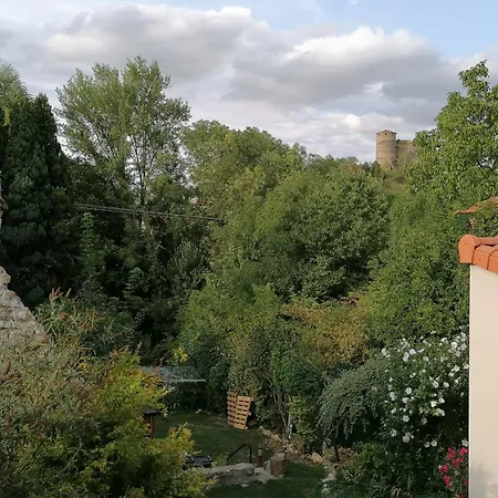 Grand Avec Vu Sur Chateau 公寓 *